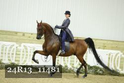 24R13_11481 thumbnail