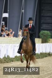 24R13_11482 thumbnail