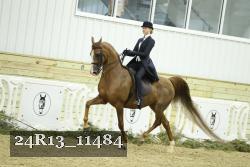 24R13_11484 thumbnail