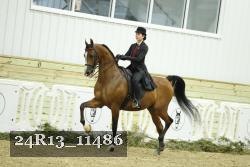 24R13_11486 thumbnail