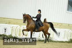24R13_11487 thumbnail