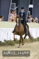24R13_11488 thumbnail