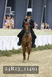 24R13_11491 thumbnail