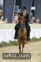 24R13_11493 thumbnail