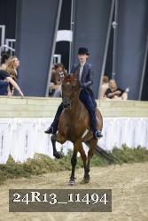 24R13_11494 thumbnail