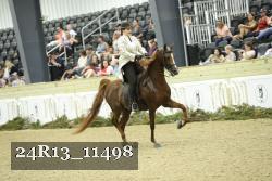 24R13_11498 thumbnail