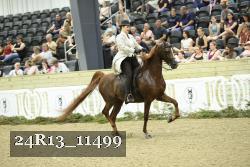 24R13_11499 thumbnail