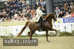 24R13_11500 thumbnail