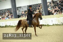 24R13_11501 thumbnail