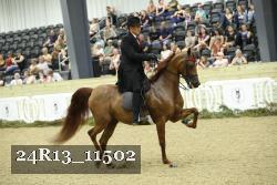 24R13_11502 thumbnail
