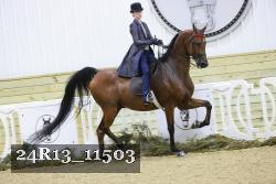 24R13_11503 thumbnail