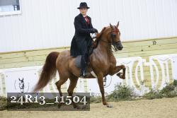 24R13_11504 thumbnail