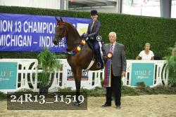 24R13_11519 thumbnail