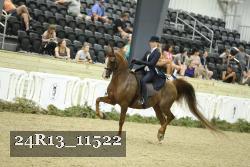 24R13_11522 thumbnail