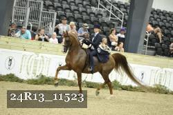 24R13_11523 thumbnail