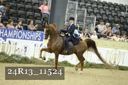 24R13_11524 thumbnail