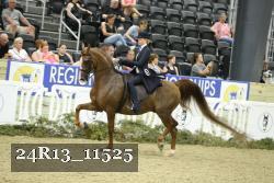 24R13_11525 thumbnail