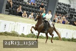 24R13_11527 thumbnail