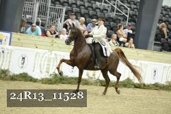 24R13_11528 thumbnail