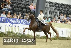 24R13_11529 thumbnail