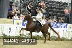 24R13_11530 thumbnail
