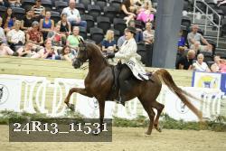 24R13_11531 thumbnail