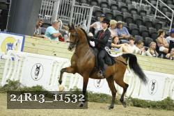 24R13_11532 thumbnail