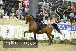 24R13_11534 thumbnail
