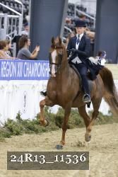 24R13_11536 thumbnail