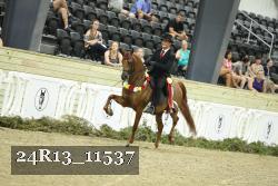 24R13_11537 thumbnail