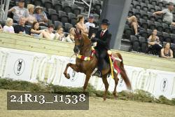 24R13_11538 thumbnail