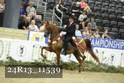 24R13_11539 thumbnail