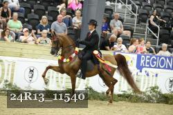 24R13_11540 thumbnail