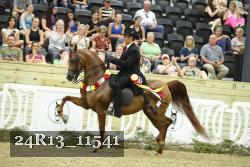 24R13_11541 thumbnail