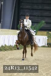 24R13_11542 thumbnail