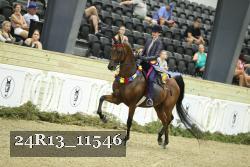 24R13_11546 thumbnail