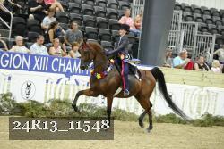 24R13_11548 thumbnail