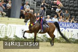 24R13_11549 thumbnail