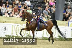 24R13_11550 thumbnail