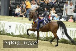 24R13_11552 thumbnail
