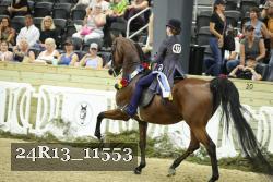 24R13_11553 thumbnail