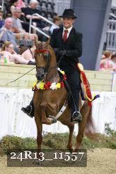 24R13_11557 thumbnail