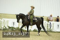 24R13_11577 thumbnail