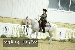 24R13_11582 thumbnail