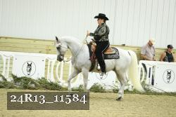 24R13_11584 thumbnail