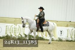 24R13_11585 thumbnail