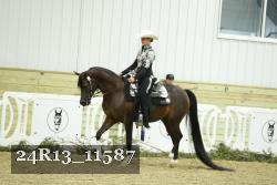 24R13_11587 thumbnail