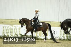 24R13_11589 thumbnail