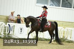 24R13_11593 thumbnail