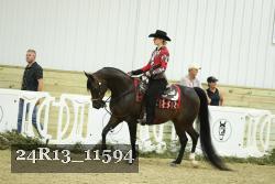 24R13_11594 thumbnail